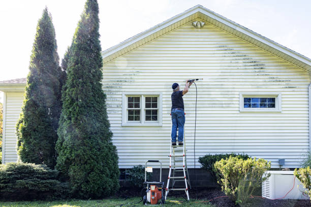 Best Building Exterior Washing  in New Baltimore, MI
